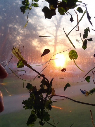 Une Table à Soi (danse de mains)