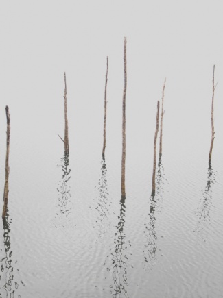 Journée Eliane Radigue