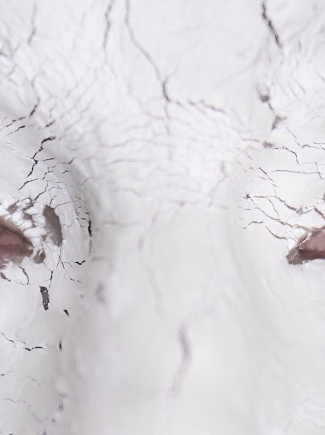 À l'aune de leurs peaux