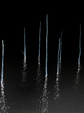 Journée Eliane Radigue