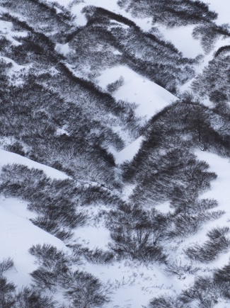 LA NEIGE REND AVEUGLE