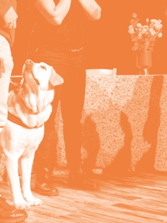 Visite tactile et sonore