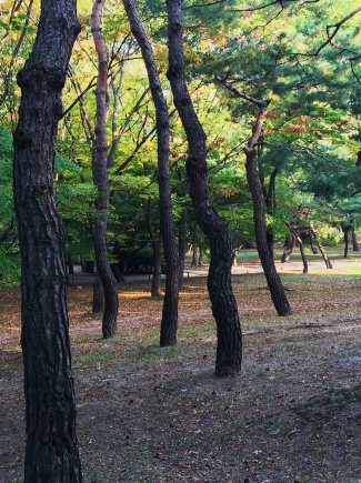 D'APRÈS NATURE + TTT : TOURCOING-TAIPEI-TOKYO