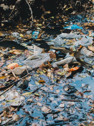 CE QUI NOUS AGITE #02