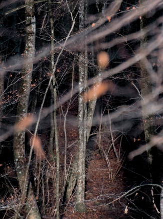COEUR DES TÉNÈBRES